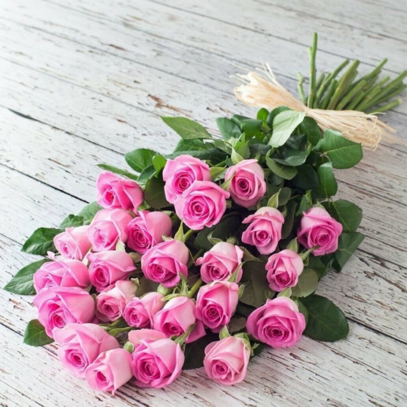 Букет 25 розовых роз Голландия (эквадор)